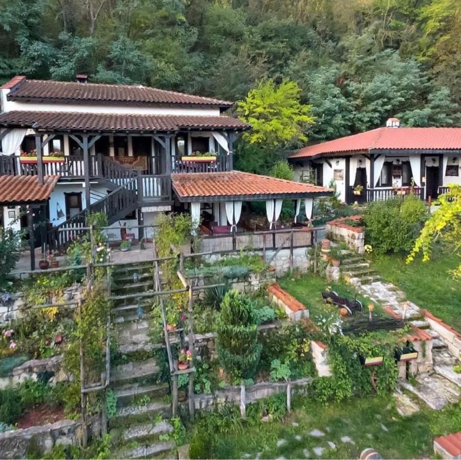 Milkovata Guest House Koshov Экстерьер фото